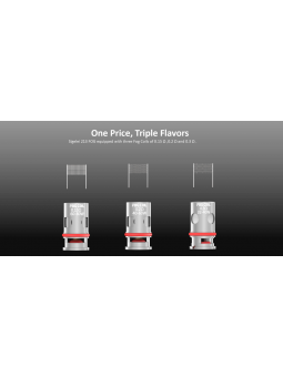 RÉSISTANCES HUMVEE / FOG 5PCS - SIGELEI-Ecigarettes-alavape.com