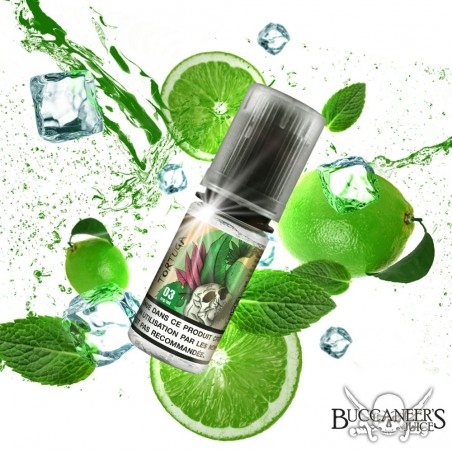 E LIQUIDE TORTUGA 10ML - BUCCANEER'S JUICE--alavape.com