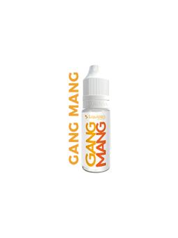 E LIQUIDE GANG MANG 10ML - LIQUIDEO--alavape.com