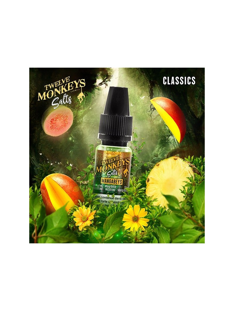 E LIQUIDE MANGABEYS SALTS - TWELVE MONKEYS--alavape.com