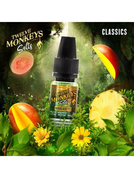 E LIQUIDE MANGABEYS SALTS - TWELVE MONKEYS--alavape.com