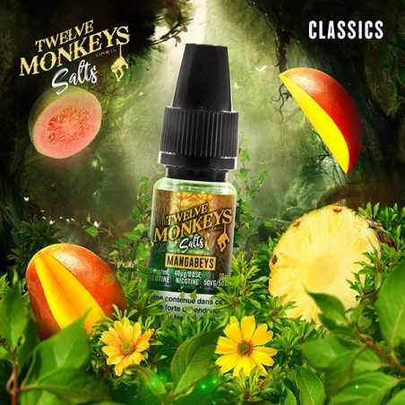 E LIQUIDE MANGABEYS SALTS - TWELVE MONKEYS--alavape.com