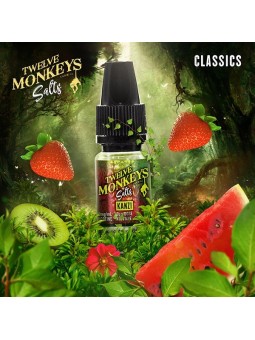 E LIQUIDE KANZI SALTS - TWELVE MONKEYS--alavape.com