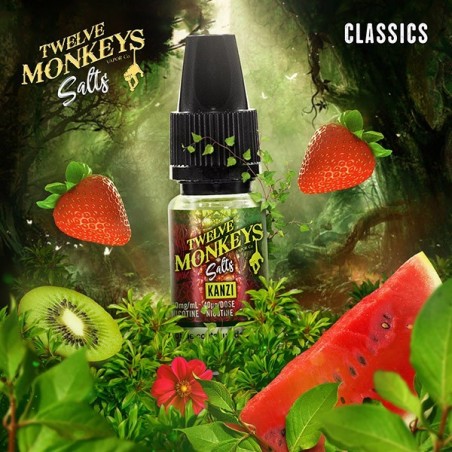 E LIQUIDE KANZI SALTS - TWELVE MONKEYS--alavape.com