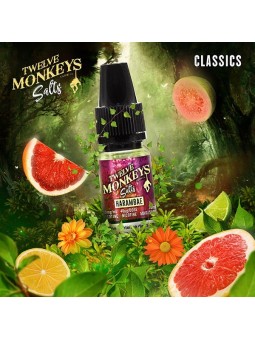 E LIQUIDE HARAMBAE SALTS - TWELVE MONKEYS--alavape.com