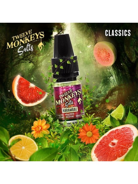 E LIQUIDE HARAMBAE SALTS - TWELVE MONKEYS--alavape.com