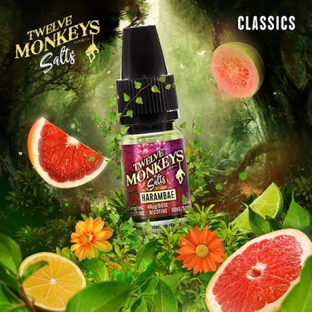 E LIQUIDE HARAMBAE SALTS - TWELVE MONKEYS--alavape.com
