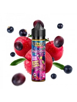 E LIQUIDE SYDNEY 50ML - BIG FLAMANT--alavape.com