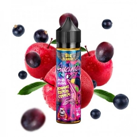 E LIQUIDE SYDNEY 50ML - BIG FLAMANT--alavape.com