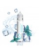 E LIQUIDE CLASSIQUE ICEBERG 50ML - SAVOUREA--alavape.com