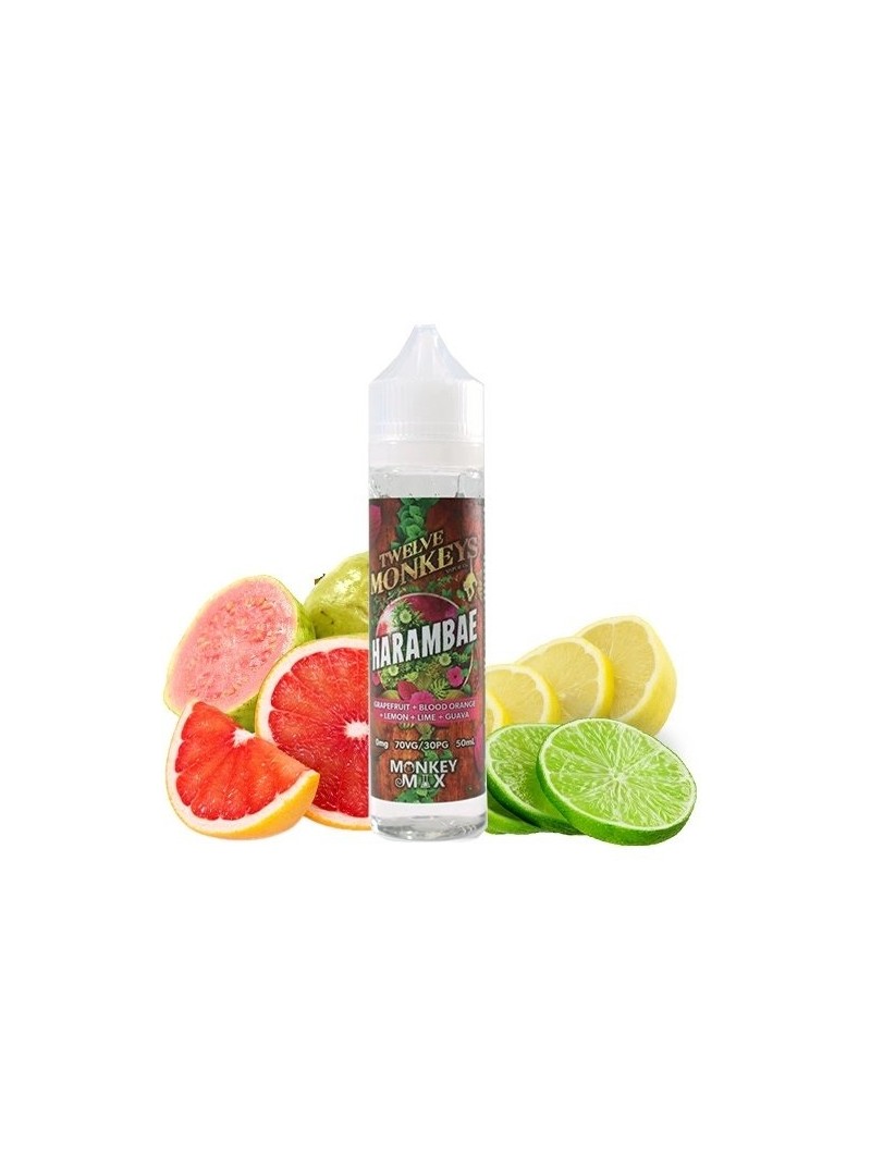 E LIQUIDE HARAMBAE 50ML - TWELVE MONKEYS-Eliquides-alavape.com