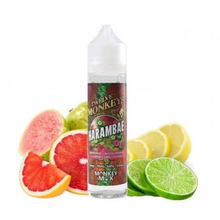 E LIQUIDE HARAMBAE 50ML - TWELVE MONKEYS-Eliquides-alavape.com