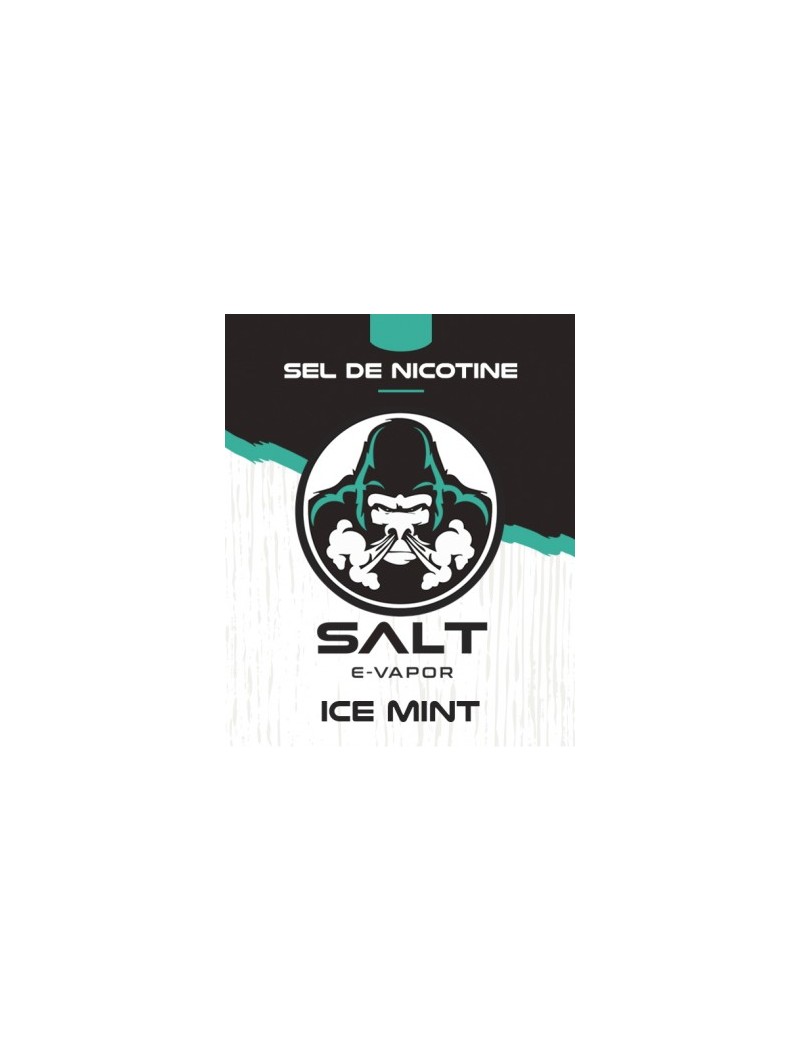 E LIQUIDE ICE MINT 10ML - SALT E VAPOR--alavape.com