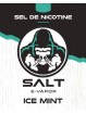 E LIQUIDE ICE MINT 10ML - SALT E VAPOR--alavape.com