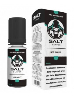 E LIQUIDE ICE MINT 10ML - SALT E VAPOR--alavape.com