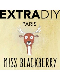 CONCENTRÉ MURE - EXTRADIY-DIY - Do It Yourself-alavape.com