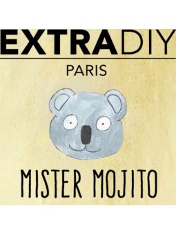 CONCENTRÉ MOJITO - EXTRADIY-DIY - Do It Yourself-alavape.com