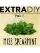 CONCENTRÉ MENTHE VERTE - EXTRADIY-DIY - Do It Yourself-alavape.com