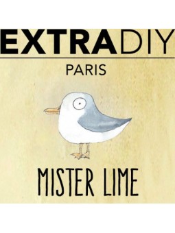 CONCENTRÉ CITRON VERT 'MISTER LIME' - EXTRADIY-DIY - Do It Yourself-alavape.com