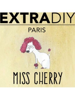 CONCENTRÉ CERISE 'MISS CHERRY' - EXTRADIY-DIY - Do It Yourself-alavape.com