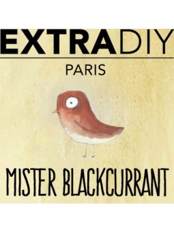 CONCENTRÉ CASSIS 'MISTER BLACKCURRANT' - EXTRADIY-DIY - Do It Yourself-alavape.com