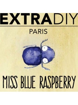 CONCENTRÉ FRAMBOISE BLEUE - EXTRADIY-DIY - Do It Yourself-alavape.com