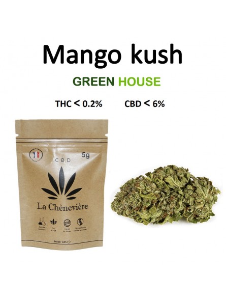 MANGO KUSH FLEUR - LA CHÈNEVIÈRE CBD-CBD-alavape.com MANGO KUSH FLEUR - LA CHÈNEVIÈRE CBD-CBD-alavape.com