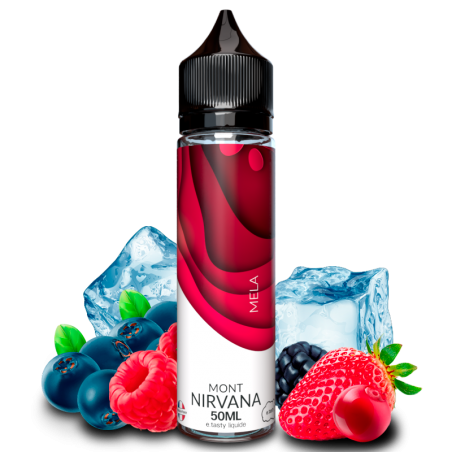 E LIQUIDE MONT NIRVANA MELA 50ML - E.TASTY--alavape.com