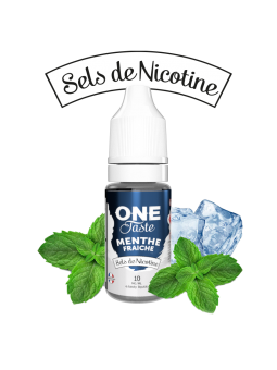 E LIQUIDE ONE TASTE MENTHE FRAICHE SEL DE NICOTINE 10ML - E.TASTY--alavape.com