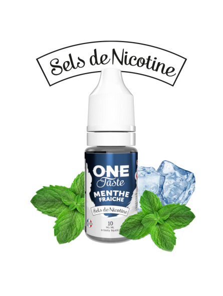 E LIQUIDE ONE TASTE MENTHE FRAICHE SEL DE NICOTINE 10ML - E.TASTY--alavape.com