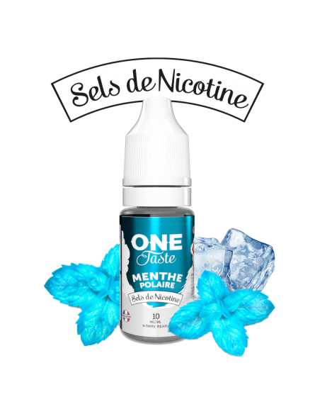 E LIQUIDE ONE TASTE MENTHE POLAIRE SEL DE NICOTINE 10ML - E.TASTY--alavape.com