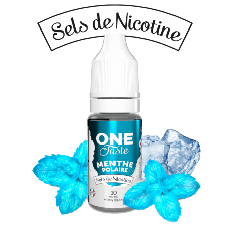 E LIQUIDE ONE TASTE MENTHE POLAIRE SEL DE NICOTINE 10ML - E.TASTY--alavape.com