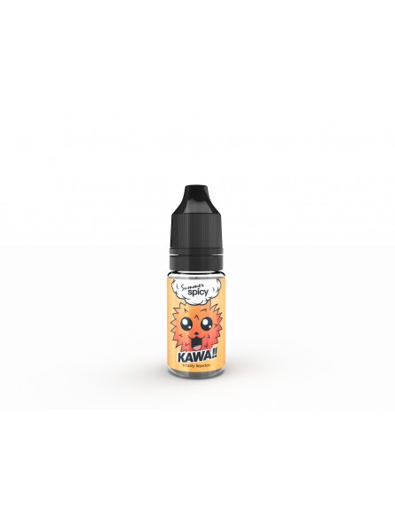 E LIQUIDE SUMMER SPICY KAWA! 10ML - E.TASTY--alavape.com