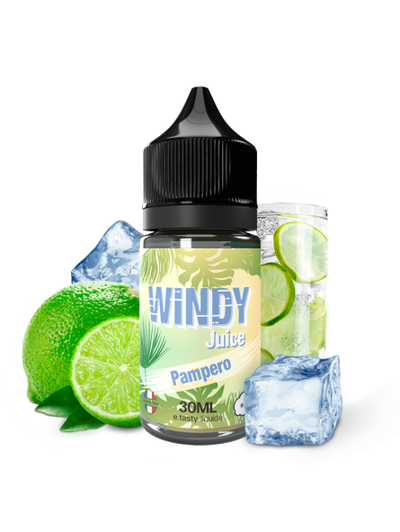 CONCENTRÉ WINDY JUICE PAMPERO 30ML - E.TASTY-DIY - Do It Yourself-alavape.com