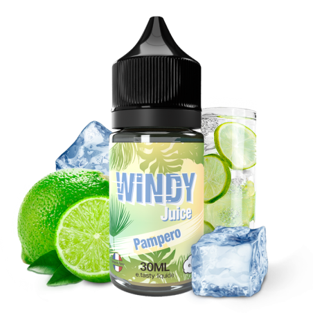 CONCENTRÉ WINDY JUICE PAMPERO 30ML - E.TASTY-DIY - Do It Yourself-alavape.com