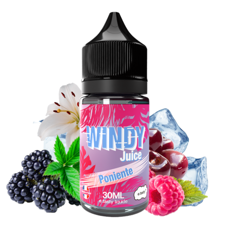 CONCENTRÉ WINDY JUICE PONIENTE 30ML - E.TASTY-DIY - Do It Yourself-alavape.com