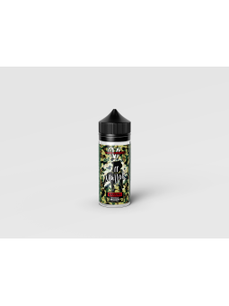 E LIQUIDE MALLOK 100ML - VAPE INSTITUT--alavape.com