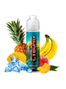 E LIQUIDE CYBER STEAM CYBORG 50ML - THE FUU--alavape.com