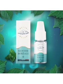 E LIQUIDE PETIT NUAGE MENTHE BORÉALE 10ML - LEVEST--alavape.com