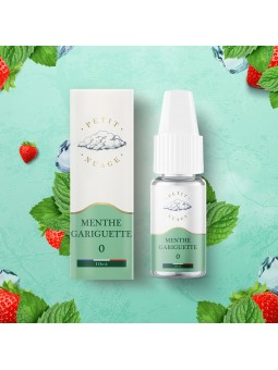 E LIQUIDE PETIT NUAGE MENTHE GUARIGUETTE 10ML - LEVEST--alavape.com