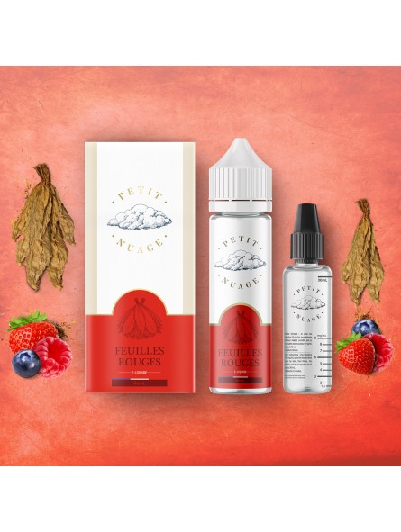 E LIQUIDE PETIT NUAGE FEUILLE ROUGE 60ML - LEVEST--alavape.com