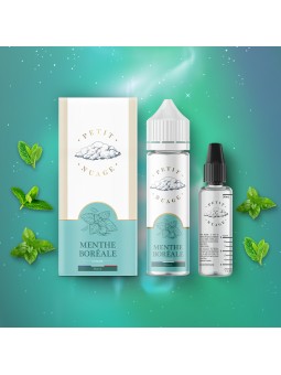 E LIQUIDE PETIT NUAGE MENTHE BORÉALE 60ML - LEVEST--alavape.com