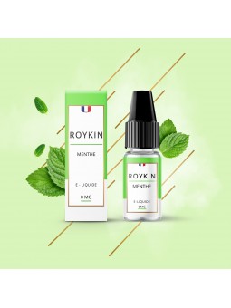 E LIQUIDE ROYKIN MENTHE 10ML - LEVEST--alavape.com