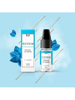 E LIQUIDE ROYKIN MENTHE DE SIBÉRIE 10ML - LEVEST--alavape.com