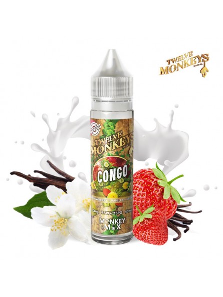 E LIQUIDE CONGO 50ML - COMING HOME FOR CHRISTMAS - TWELVE MONKEYS-Eliquides-alavape.com
