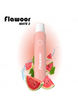 PUFF PASTÈQUE GLACÉE - FLAWOOR MATE 2-PUFFS-alavape.com