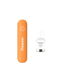 PUFF MANGUE GLACÉE - FLAWOOR MATE 2-PUFFS-alavape.com