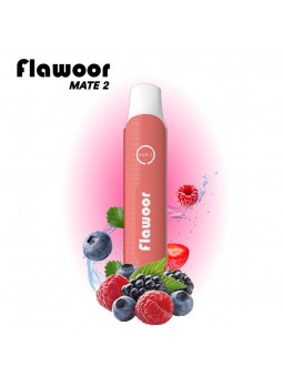 PUFF FRUITS ROUGES - FLAWOOR MATE 2-PUFFS-alavape.com