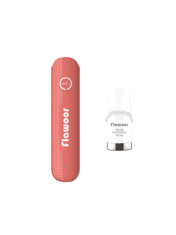 PUFF FRUITS ROUGES - FLAWOOR MATE 2-PUFFS-alavape.com