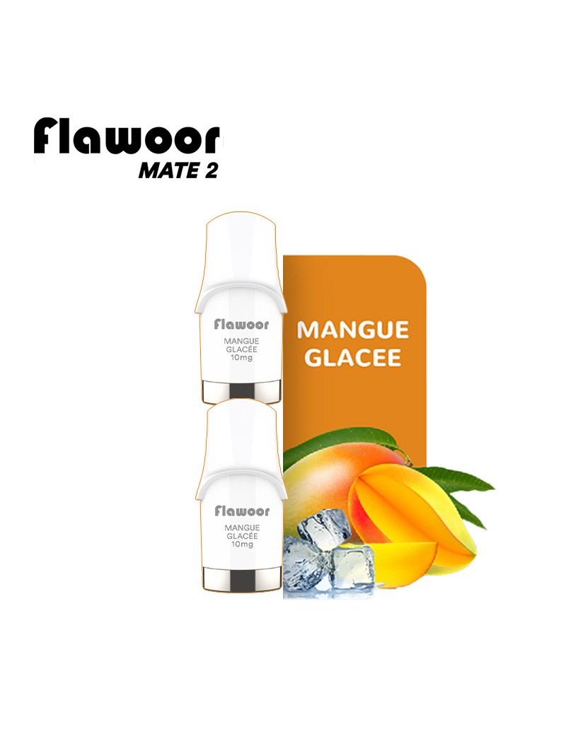 CARTOUCHES PUFF MANGUE GLACÉE / 2PCS - FLAWOOR MATE 2-PUFFS-alavape.com